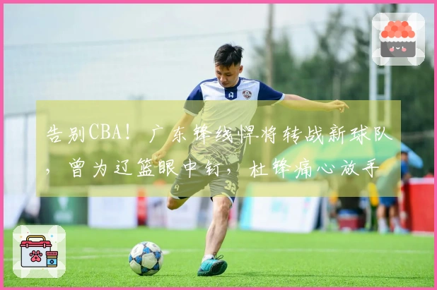 告别CBA！广东锋线悍将转战新球队，曾为辽篮眼中钉，杜锋痛心放手